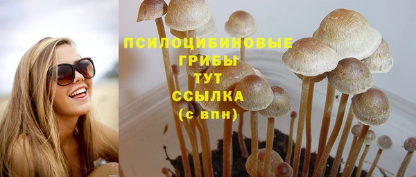 ГАЛЛЮЦИНОГЕННЫЕ ГРИБЫ Аркадак