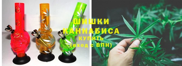 амф Арсеньев