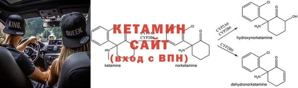 ГАЛЛЮЦИНОГЕННЫЕ ГРИБЫ Аркадак