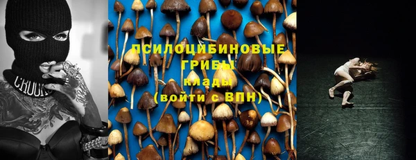ГАЛЛЮЦИНОГЕННЫЕ ГРИБЫ Аркадак