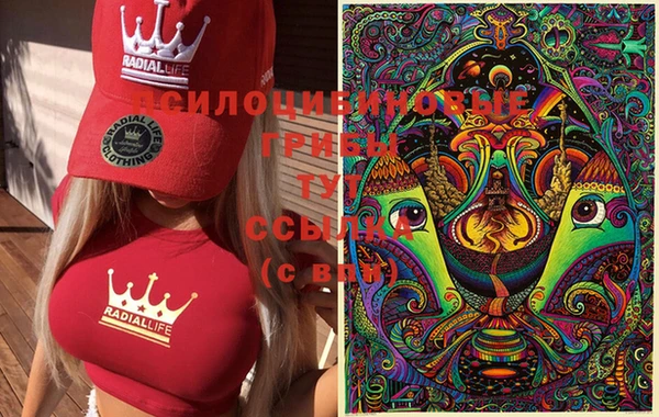 ГАЛЛЮЦИНОГЕННЫЕ ГРИБЫ Аркадак