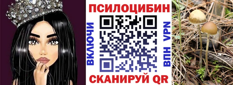 наркошоп  площадка телеграм  blacksprut ONION  Галлюциногенные грибы Cubensis  Покровск 